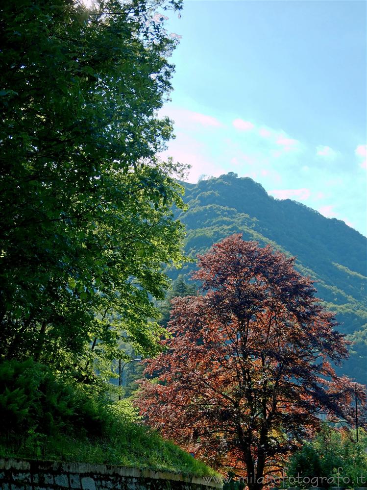 Rosazza (Biella) - Colori primaverili